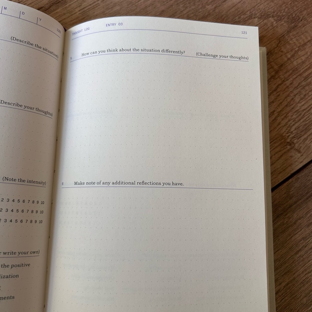 The Depression Guidebook - Picture 8 of 10